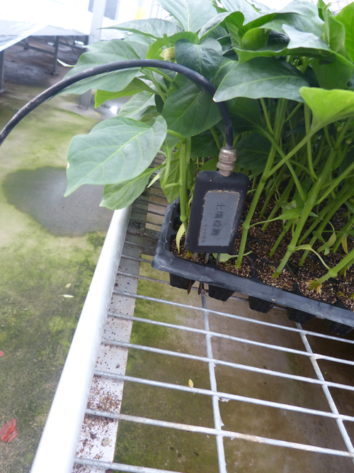 土壤湿度传感器